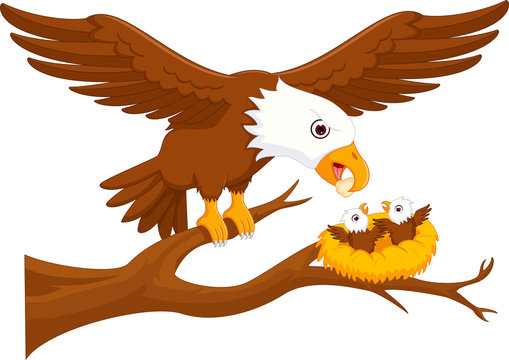 Sweet eagle mother and eagle junior cartoon