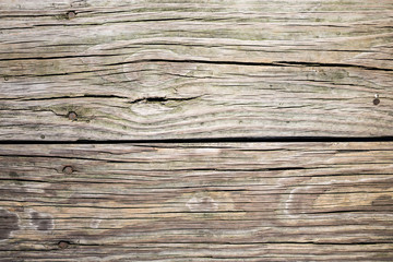 Obraz premium wood texture