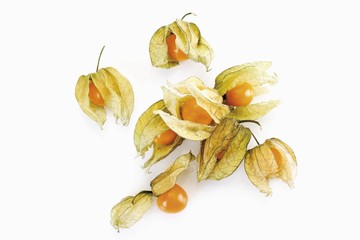 Physalis