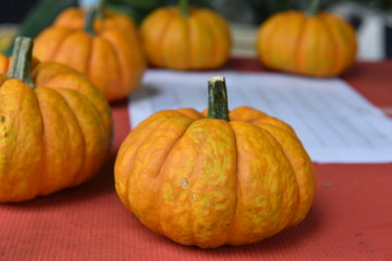 pumpkin