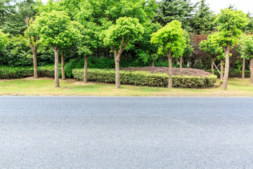 Asphalt road and green forest
