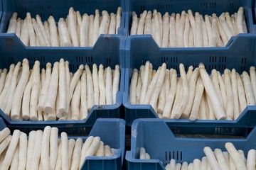 Crates of asparagus on the market
