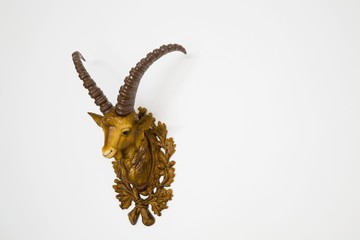 Plastic head of an ibex, side view