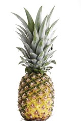 Fototapeta premium Pineapple