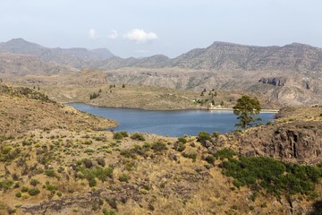 Fototapeta na wymiar Lake El Juncal, a small reservoir in the Pinar de Pajonales National Park, Roque Bentaiga, Gran Canaria, Canary Islands, Spain, Europe, PublicGround, Europe