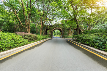 Country asphalt road through the green forest