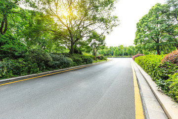 Country asphalt road through the green forest