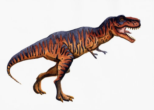 Рисунок акварелью "Тираннозавр Рекс"