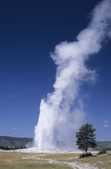 Old Faithful geyser, Yellowstone National Park USA