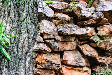 Many stones and wood with pattern and some leaves and grass