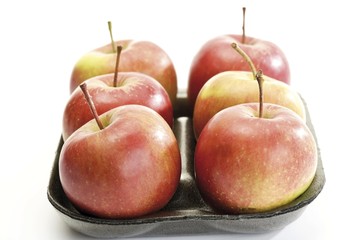 Jonagold apples on a plastic tray