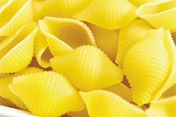 Conchiglie, uncooked