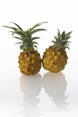Two Pineapples (Ananas comosus)
