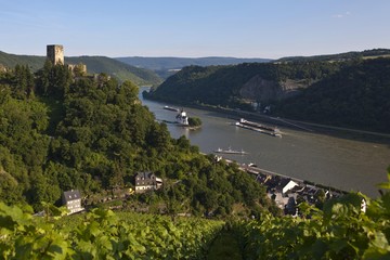 Burg Gutenfels Castle with vineyards above Burg Pfalzgrafenstein Castle in Kaub am Rhein, Rhineland-Palatinate, Germany, Europe