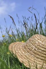 Straw hat lying in a meadow