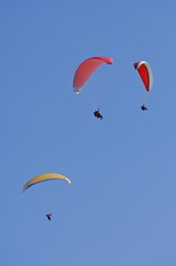 Paragliders