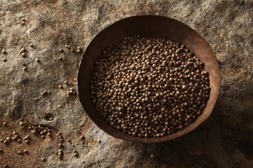 Coriander (Coriandrum sativum) in a copper bowl on a stone surface