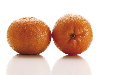 Two Clementines (Citrus x aurantium)