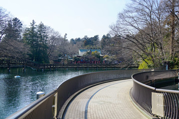 公園内の神社