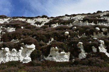 Großbritannien - Kreidefelsen bei Brighton