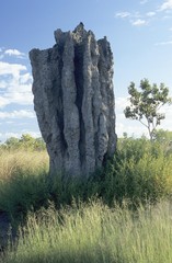 Termite mound, Australia, Oceania