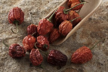 Dried Bell Pepper (capsicum) with a wooden shovel, on stone surface