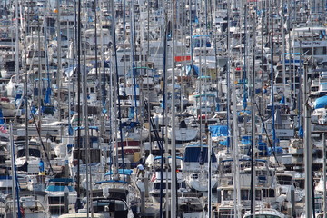 marina crowded