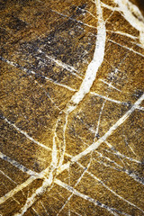 white veins of quartz on sandstone rock