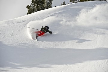 Deep-snow skier, freerider, doing a turn, Tyrol, Austria, Europe