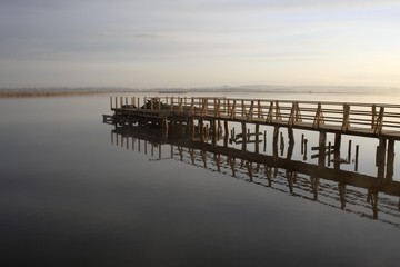 Lake Federsee, boardwalk, morning mood, reflection, nature reserve, Biberach district, Upper Swabia, Baden-Wuerttemberg, Germany, Europe