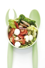 Mixed salad, lettuce, onion, mozzarella, mushrooms, tomatoes, peppers