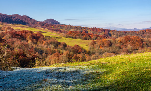 grassy meadow in mountainous countryside. beautiful landscape with forest on hillside in warm late autumn day