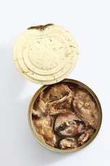 Opened tin of sardines