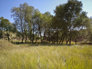 The Plateau Autumn Scene