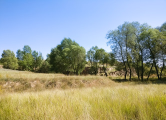 The Plateau Autumn Scene