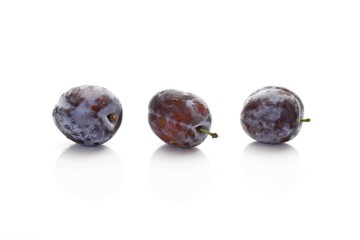 Three Plums (Prunus domestica)
