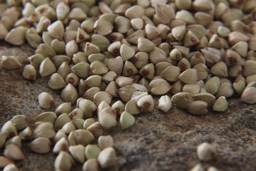 Buckwheat (Fagopyrum esculentum) on a slab