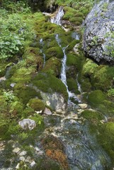 Small moss-covered tributary of the Johannesfluss River in Johannestal Valley, in the Karwendel Range, Tyrol, Austria, Europe