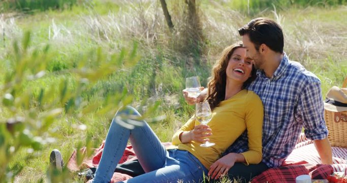Romantic couple having a glass of wine in olive farm 