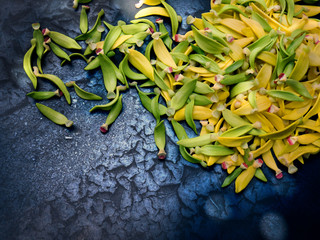 Petal of Climbing Ylang-Ylang, Manorangini, Hara-champa, Kantali champa onblack crack and dry earth...