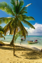 Fototapeta na wymiar Amazing palm tree on caribbean beach with boat Dominican Republic, Caribbean