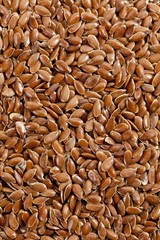 Linseed or Flax (Linum usitatissimum) seeds