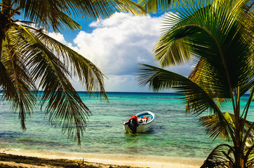 White motorboat moored on exotic coast with beautiful amazing palm trees entering the sea, Dominican Republic