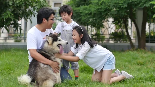 Happy Asian family playing with siberian husky dog in the garden3