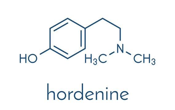 Hordenine (dimethyltyramine) stimulant molecule, chemical structure.  Skeletal formula.