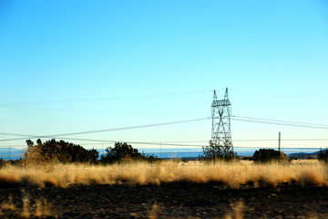 Beautiful yellow weeds field scenery with electric tower in Nevada, route 66 in USA