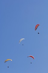 Paragliders