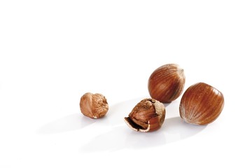 Hazelnuts (Corylus avellana)