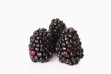 Three blackberries (Rubus sectio Rubus)