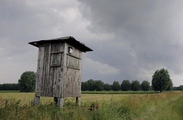 Raised hide in front of storm clouds, Tangstedt, Schleswig-Holstein, Germany, Europe